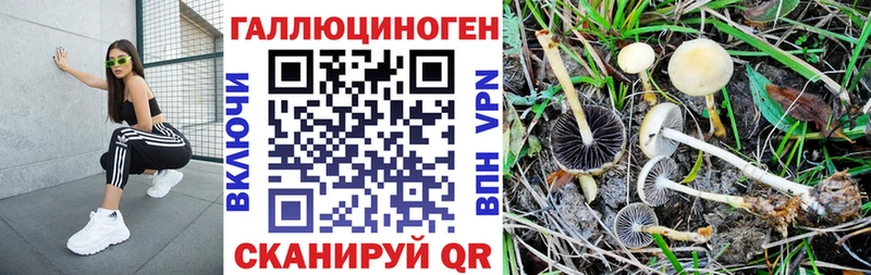 дарнет шоп Завитинск нарко площадка как зайти Галлюциногенные грибы мухоморы